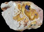 Large Azurite Crystal In Matrix - Morocco #49450-1